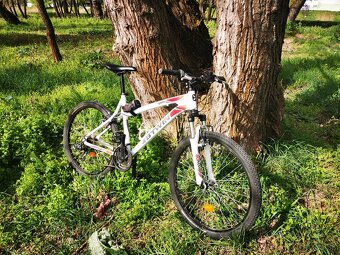 Na predaj - horsky bicykel - 2
