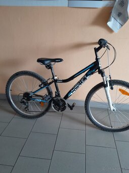 Bicykel Dema - 2
