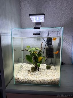 Akvárium 20l - 2