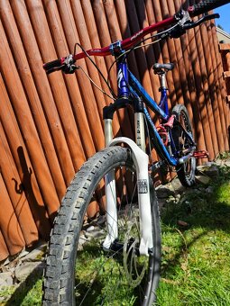 Specialized pitch comp - 2
