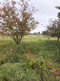 Rodinný dom s veľkým pozemkom na predaj... - 2