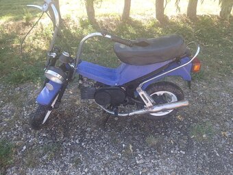 Jawa stella - 2