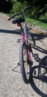 Neuzer bicykel - 2