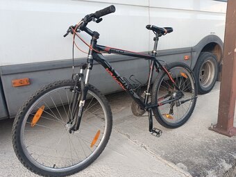 Alpina 19.5" - 2