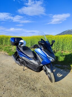 Predám Honda Forza 125 - 2