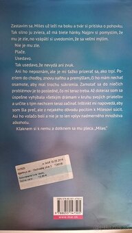 Colleen Hooverová - Odvrátená tvár lásky - 2