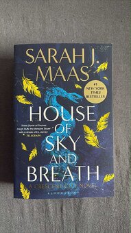 Sarah J. Maas -House of celá séria - 2