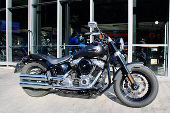 Harley Davidson Softail Slim - Odpočet DPH - 2