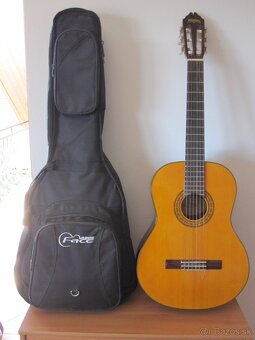 Gitara Washburn - 2