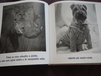 knizka Kdyz se nic nedari Rychlokurs vylepsovani nalady - 2