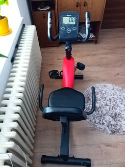 Recumbent Hop-sport - 2