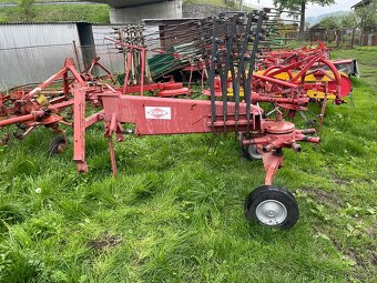 Hrabacka kuhn - 2