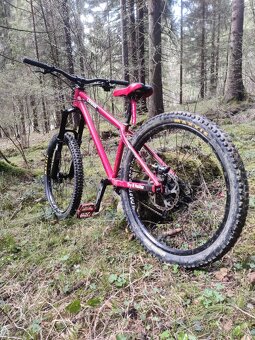 Downhill bike DW Chronos-znížena cena - 2