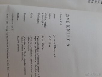 J.Glazarová ,,Vlčí jáma" - 2