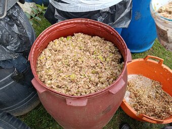 Predám čerstve mleté hrušky na kvas - 2