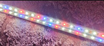 LED svetlo do akvaria 130 cm - 2