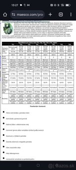 Lister Petter  motor TS 3 - 2