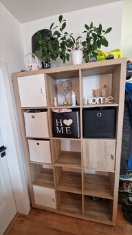 Drevený regál, vitrina - 2