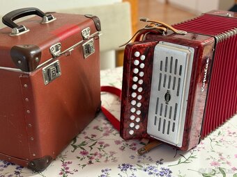 Heligonka popular delicia - 2