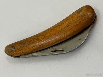 Sandrik štepársky krivák - 2