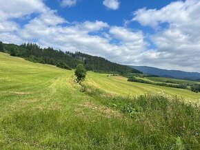 Pozemok neďaleko centra Dolný Kubín - 8649m2 - 2