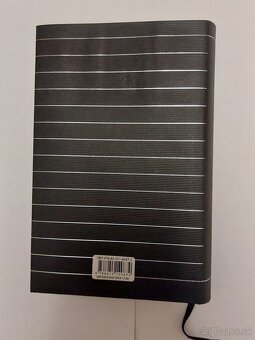 F. M. Dostojevskij – Zločin a trest - 2