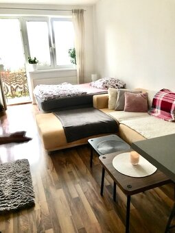 1izb. ALEXYHO UL.(Dúbravka) za 500 €/mes. vrátane E - 2