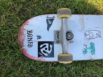 skateboard ripndip - 2