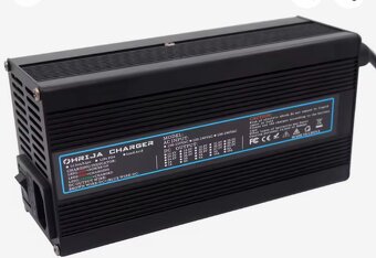 Lifepo4 12V 200Ah BSM - 2