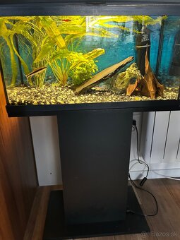 Predám akvárium 50l - 2