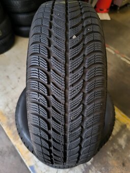 Sava Eskimo s3 195/65R15 91T - 2