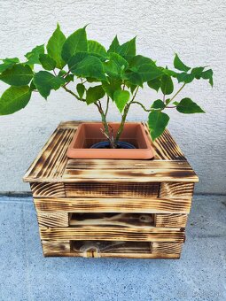 Opaľovaný kvetináč - 2