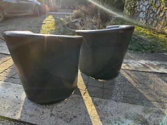 Klubove kreslo, musla - 2