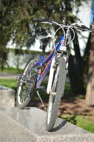 Bicykel Harry - 2