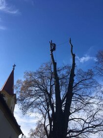 o.cvak.s.r.o rizikove stromy,pilenie.rekonstrukcia kostol - 2