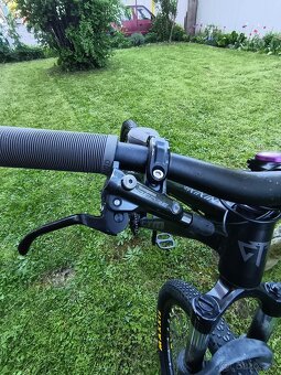 CTM dirtking - 2