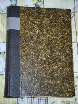 Revue Naše Slovensko. - 2