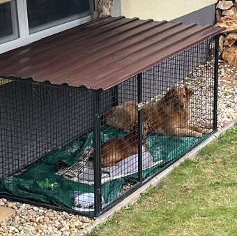 KLIETKA PRE DROBNÉ ZVIERATÁ - 2