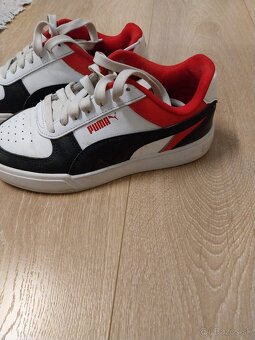 Botasky PUMA - 2