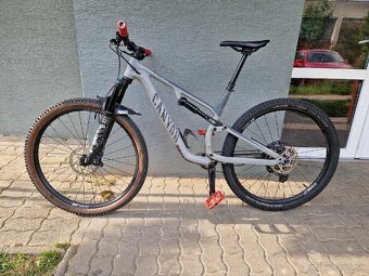 Canyon neuron 7 - 2