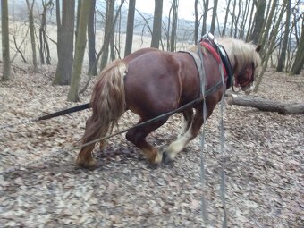 Práca pre ťažné kone - dopyt - 2