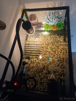 Akvarium s prislusenstvom - 2