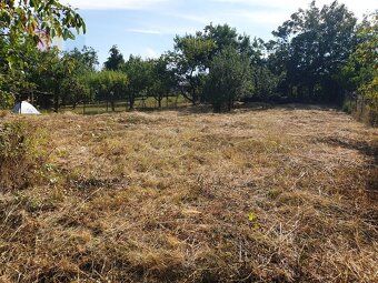 Na predaj investičný pozemok "záhrada" o výmere 691 m2 - 2