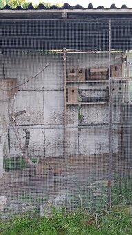 Predám voliru pre vtákov - 2
