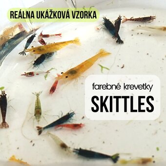 Farebný mix kreviet Skittles - balíček 12ks (posielam) - 2