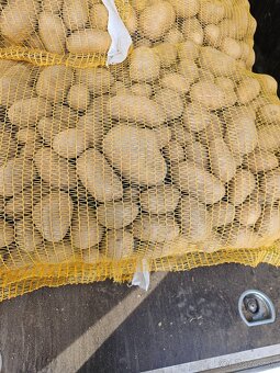 Predaj domáce zemiaky 0.60e/kg - 2