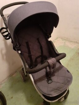 Športovy kočik - 2