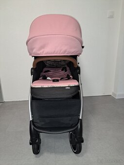 Kočík Pettite and Mars - 2