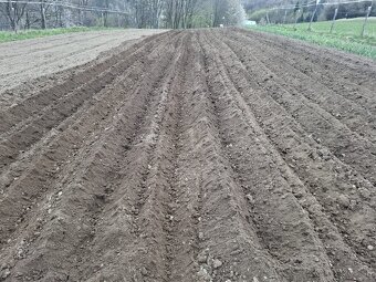 Sadzač na zemiaky - 2