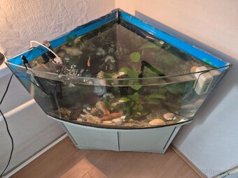 Predám staršie rohové akvárium cca 90 l - 2